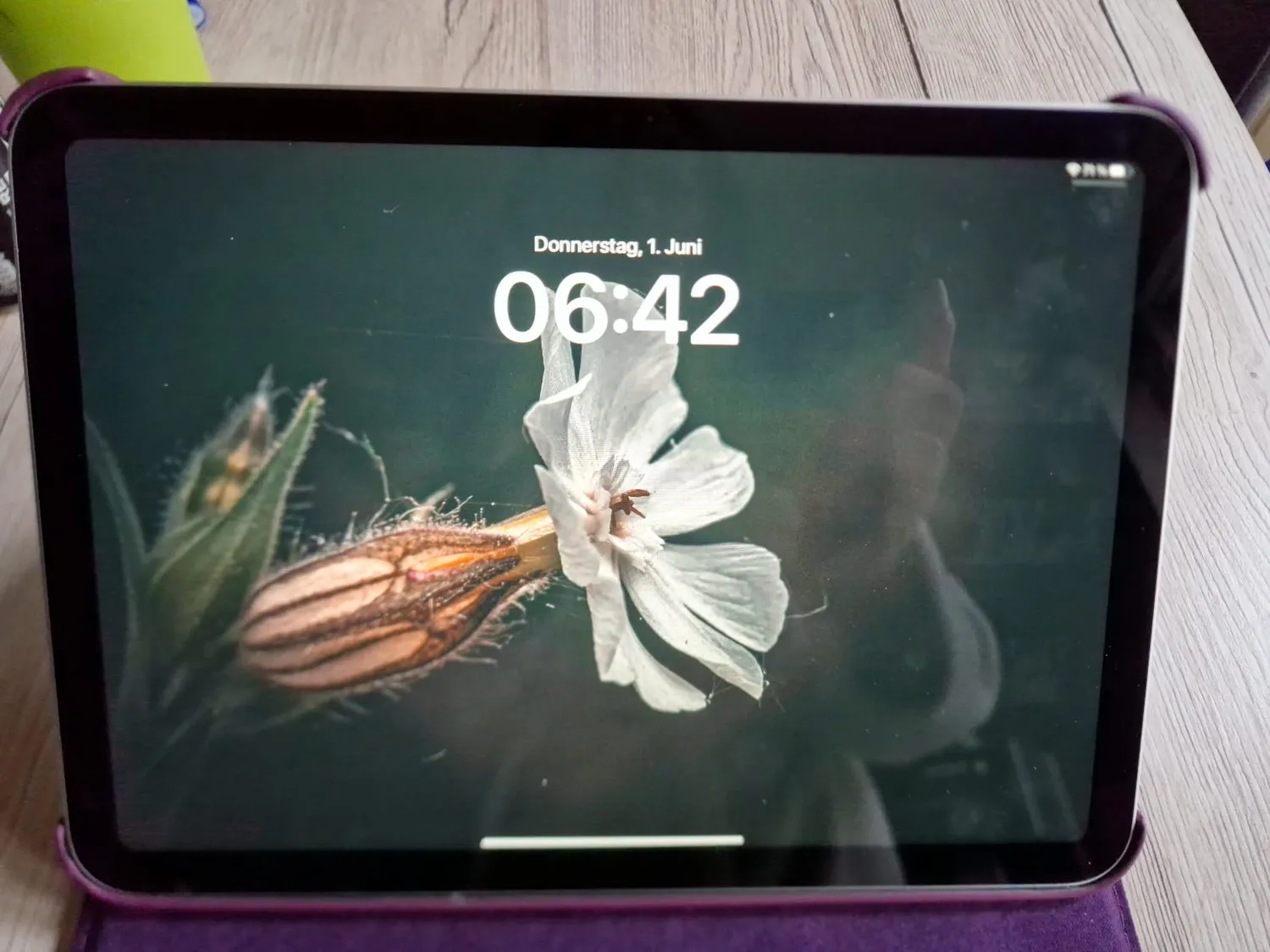 EAZY CASE Tablethülle iPad 11 2025 11 Zoll Grün 360°