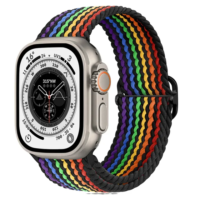 arktisband Flex Loop Armband Pride Schwarz Apple Watch