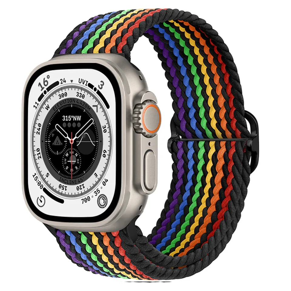arktisband Flex Loop Armband Pride Schwarz Apple Watch