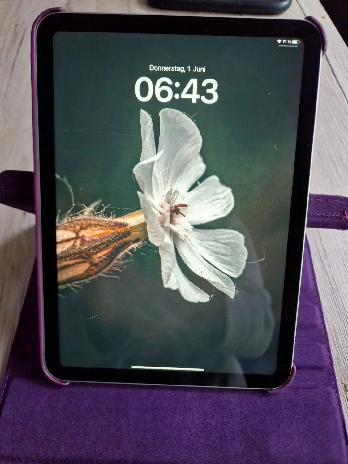 EAZY CASE Tablethülle iPad 11 2025 11 Zoll Grün 360°