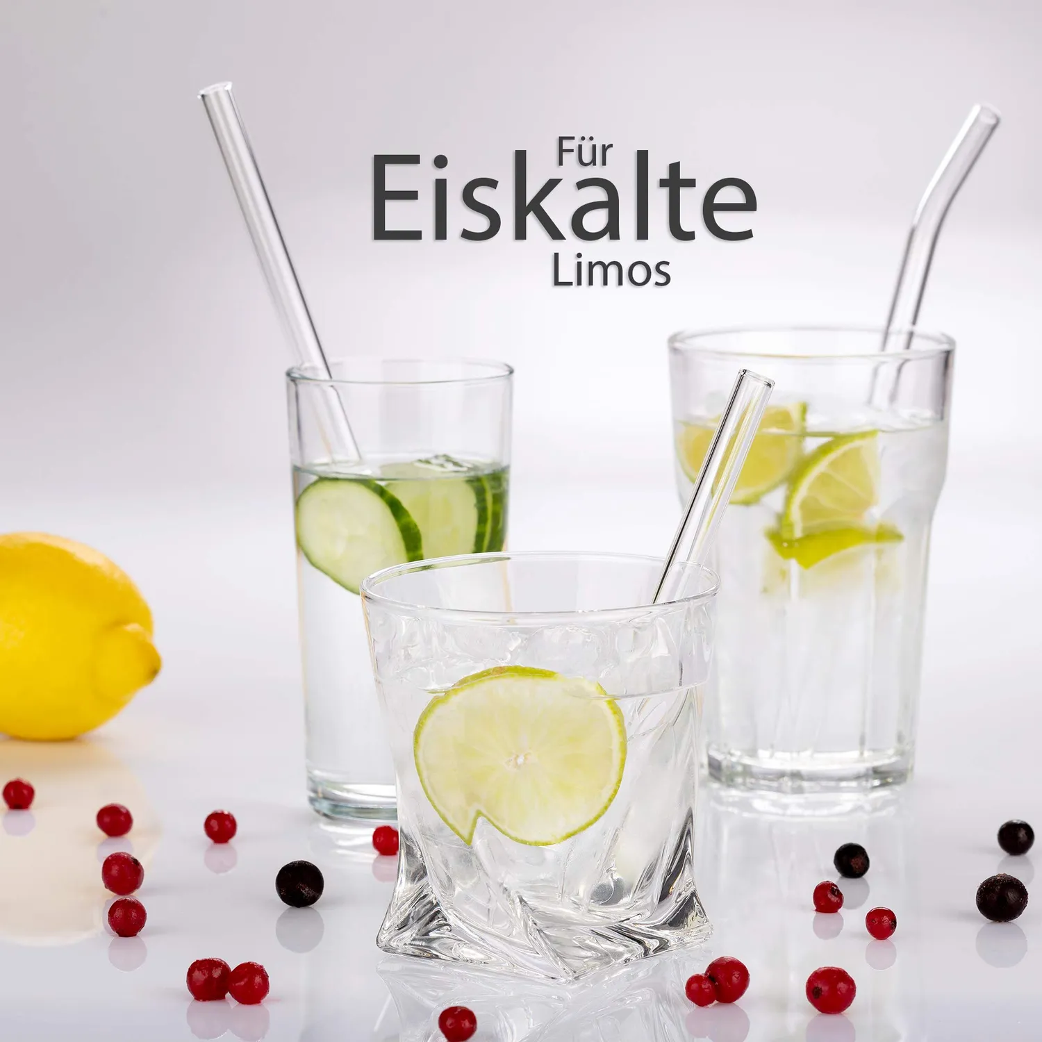 EAZY CASE Glas-Strohhalme 8er Set mit Bürsten